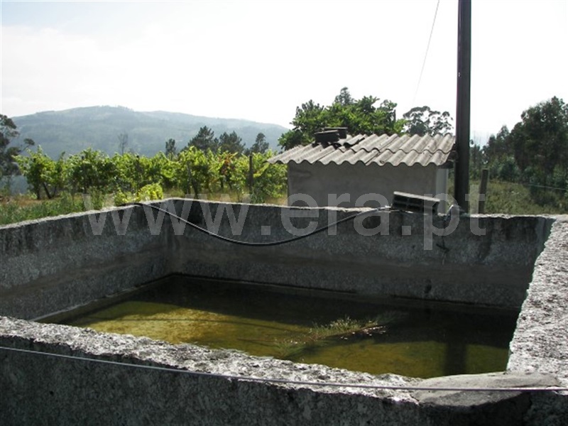 Terreno  Fafe, Agrela e Serafão - 929768 - 6