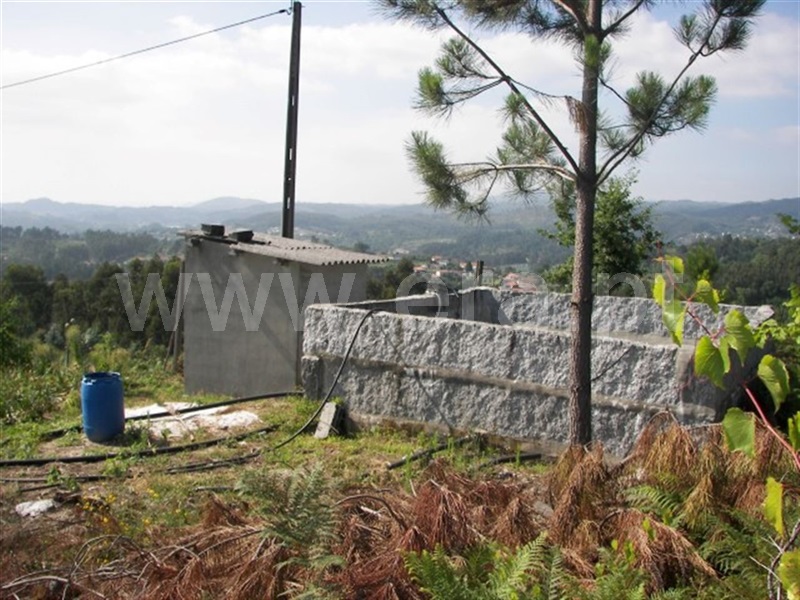 Terreno  Fafe, Agrela e Serafão - 929768 - 11