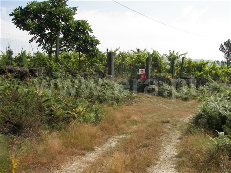 Terreno  Fafe, Agrela e Serafão - 929768 - 10