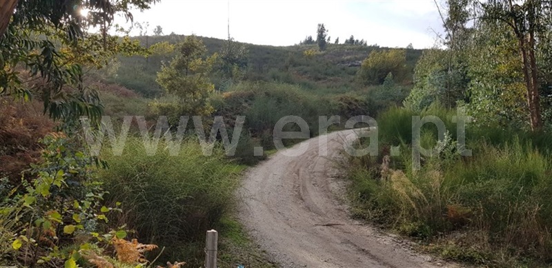 Terreno / Fafe, Agrela e Serafão