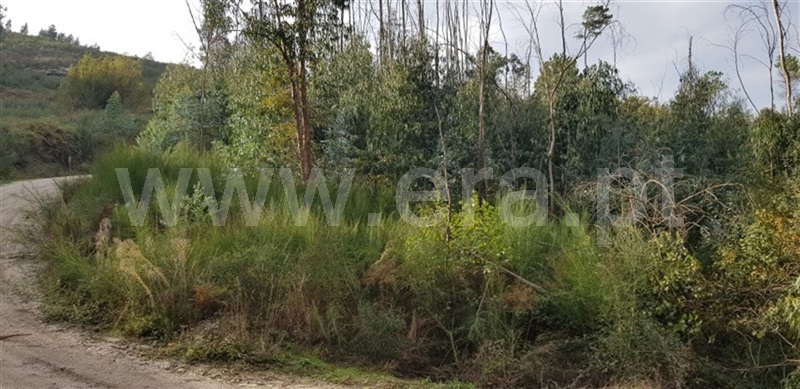 Terreno  Fafe, Agrela e Serafão - 962349 - 2