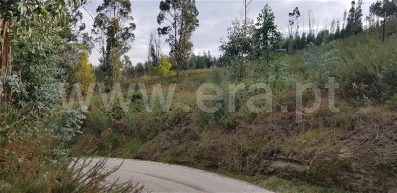 Terreno  Fafe, Agrela e Serafão - 962349 - 3