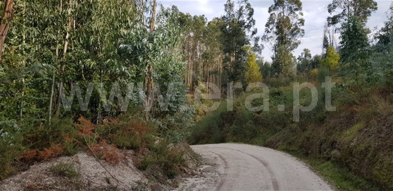 Terreno  Fafe, Agrela e Serafão - 962349 - 4
