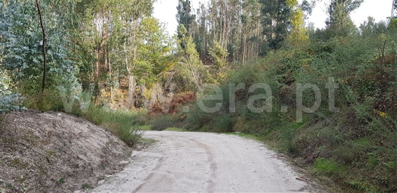 Terreno  Fafe, Agrela e Serafão - 962349 - 5