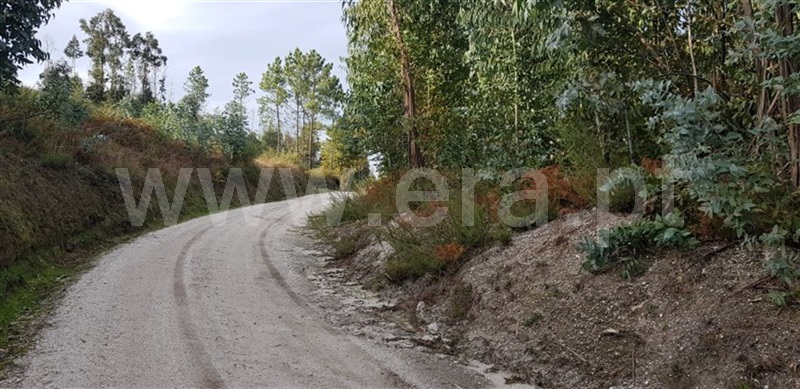 Terreno  Fafe, Agrela e Serafão - 962349 - 6