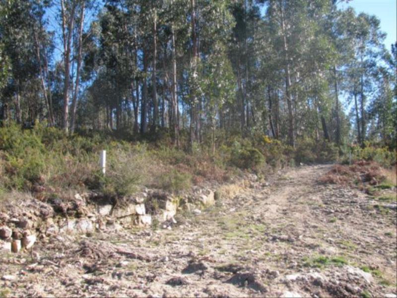 Terreno  Fafe, Antime e Silvares (São Clemente) - 104484 - 2