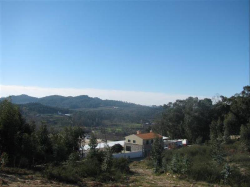 Terreno  Fafe, Antime e Silvares (São Clemente) - 104484 - 5