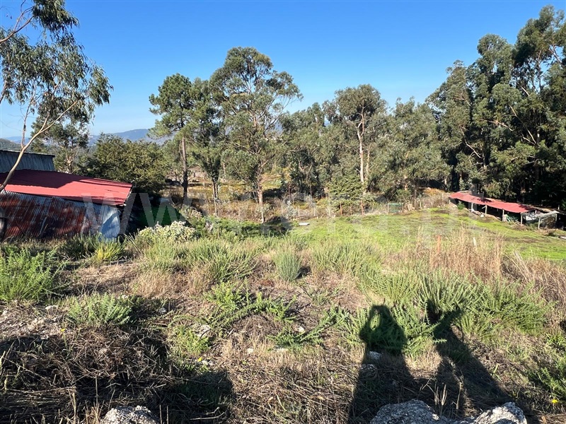 Terreno / Fafe, Antime e Silvares (São Clemente)