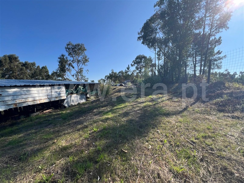 Terreno  Fafe, Antime e Silvares (São Clemente) - 1507594 - 2