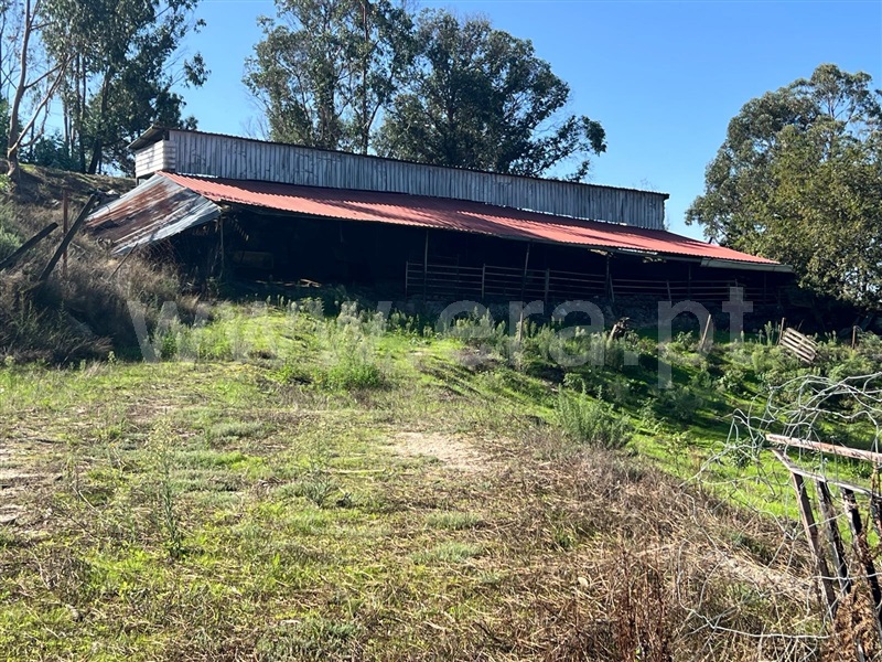 Terreno  Fafe, Antime e Silvares (São Clemente) - 1507594 - 4