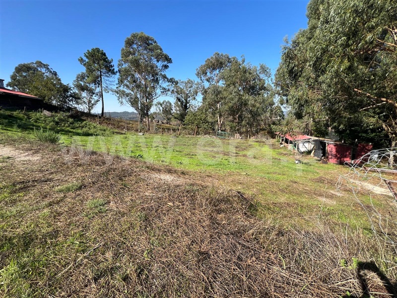 Terreno  Fafe, Antime e Silvares (São Clemente) - 1507594 - 5