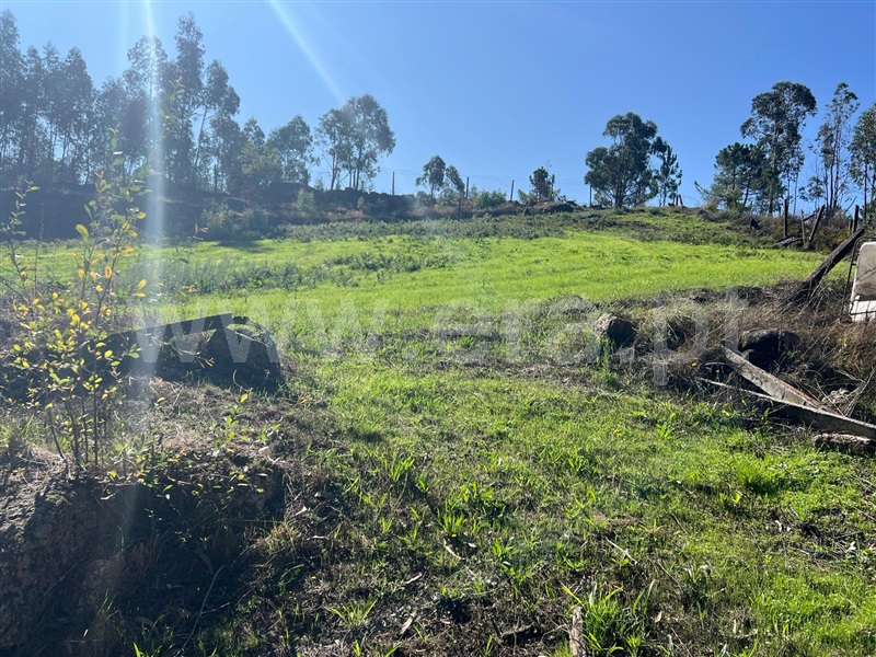 Terreno  Fafe, Antime e Silvares (São Clemente) - 1507594 - 7