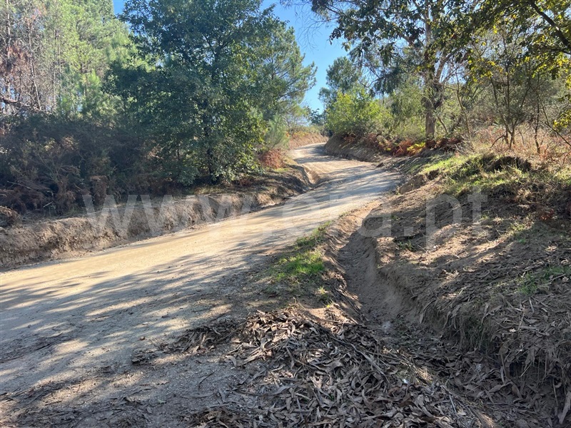 Terreno  Fafe, Antime e Silvares (São Clemente) - 1507594 - 8