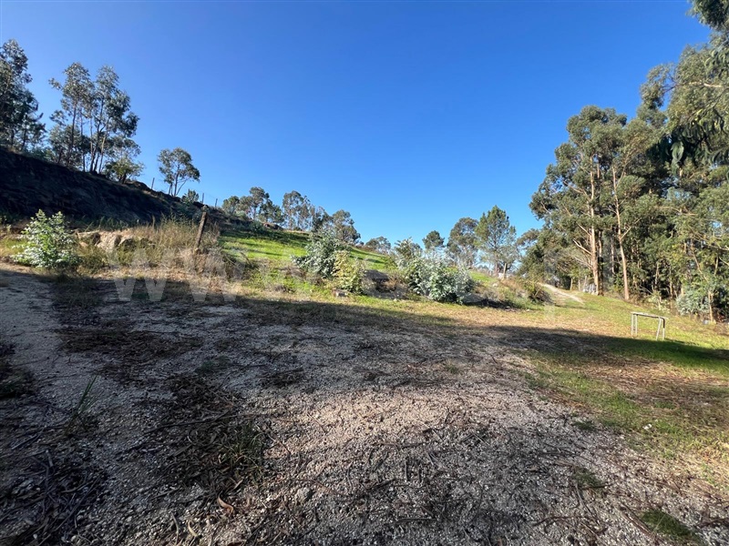 Terreno  Fafe, Antime e Silvares (São Clemente) - 1507594 - 9