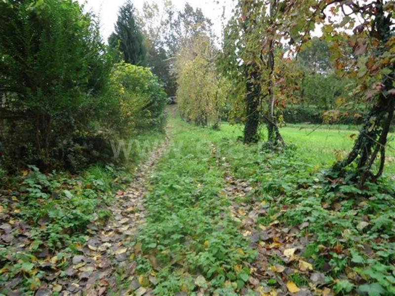 Terreno  Fafe, Antime e Silvares (São Clemente) - 539909 - 4