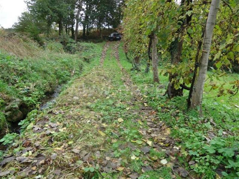 Terreno  Fafe, Antime e Silvares (São Clemente) - 539909 - 5