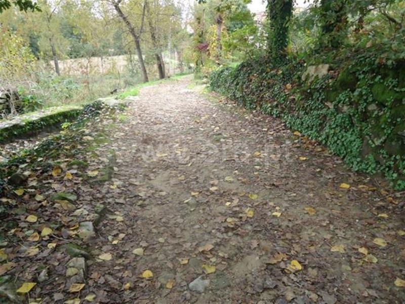 Terreno  Fafe, Antime e Silvares (São Clemente) - 539909 - 6