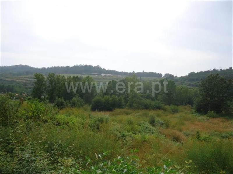 Terreno  Fafe, Antime e Silvares (São Clemente) - 712367 - 3