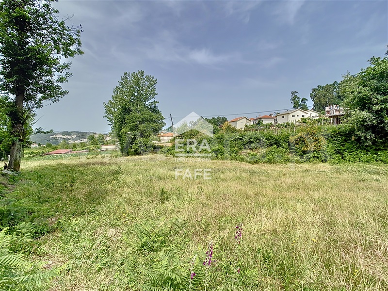 Terreno  Fafe, Antime e Silvares (São Clemente) - 915401 - 10
