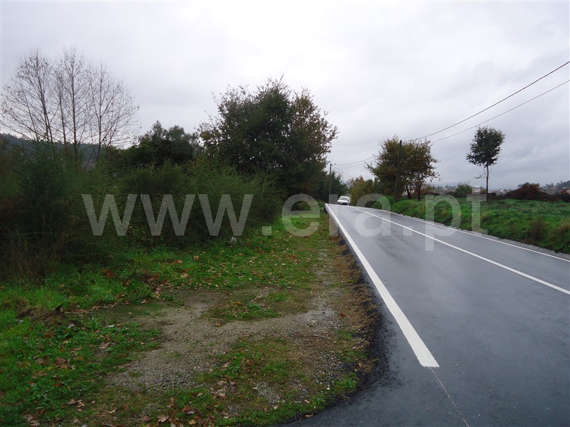 Terreno  Fafe, Antime e Silvares (São Clemente) - 969323 - 4