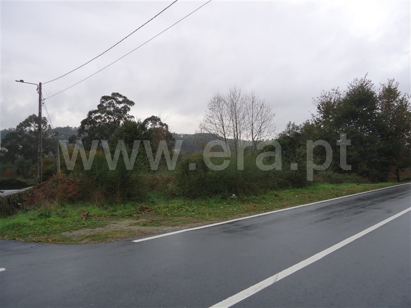Terreno / Fafe, Antime e Silvares (São Clemente)