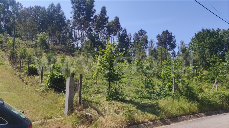 Terreno  Fafe, Ardegão, Arnozela e Seidões - 1331455 - 1