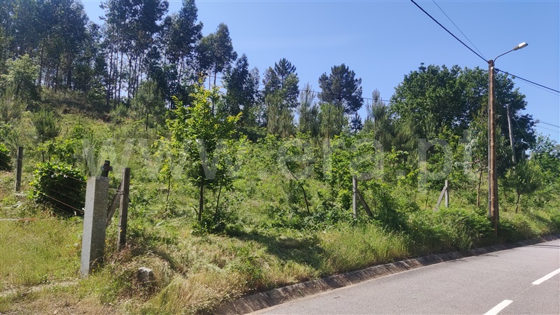 Terreno  Fafe, Ardegão, Arnozela e Seidões - 1331455 - 2