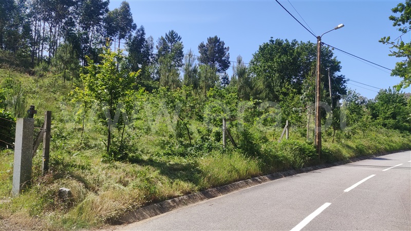 Terreno  Fafe, Ardegão, Arnozela e Seidões - 1331455 - 3