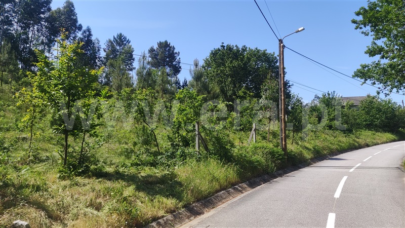 Terreno  Fafe, Ardegão, Arnozela e Seidões - 1331455 - 5