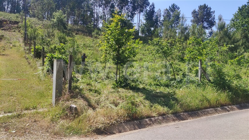 Terreno  Fafe, Ardegão, Arnozela e Seidões - 1331455 - 8
