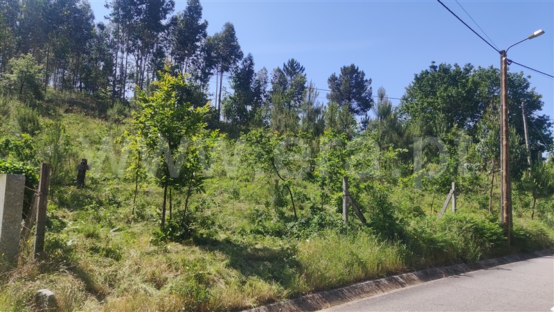 Terreno  Fafe, Ardegão, Arnozela e Seidões - 1331455 - 9