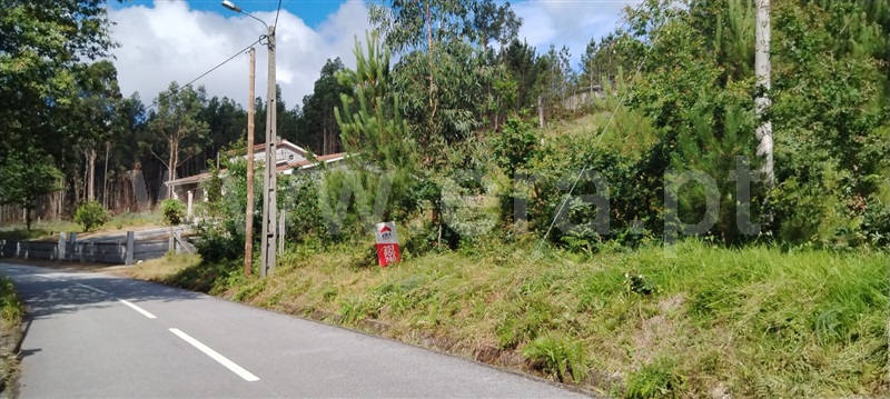 Terreno  Fafe, Ardegão, Arnozela e Seidões - 1331455 - 12