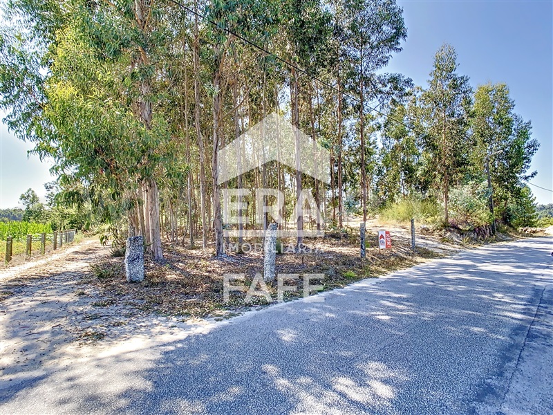 Terreno / Fafe, Ardegão, Arnozela e Seidões