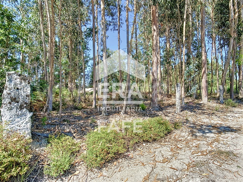 Terreno  Fafe, Ardegão, Arnozela e Seidões - 1344105 - 4