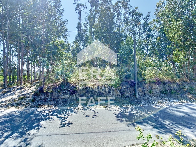 Terreno  Fafe, Ardegão, Arnozela e Seidões - 1344105 - 5