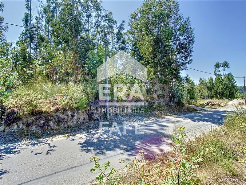 Terreno  Fafe, Ardegão, Arnozela e Seidões - 1344105 - 6