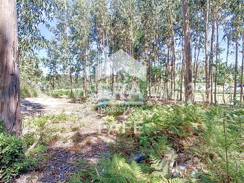 Terreno  Fafe, Ardegão, Arnozela e Seidões - 1344105 - 7