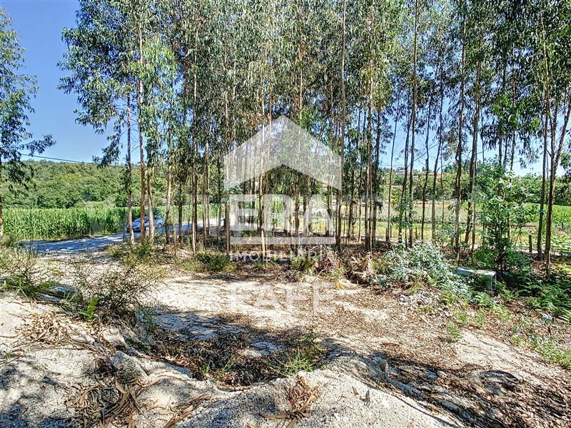 Terreno  Fafe, Ardegão, Arnozela e Seidões - 1344105 - 8