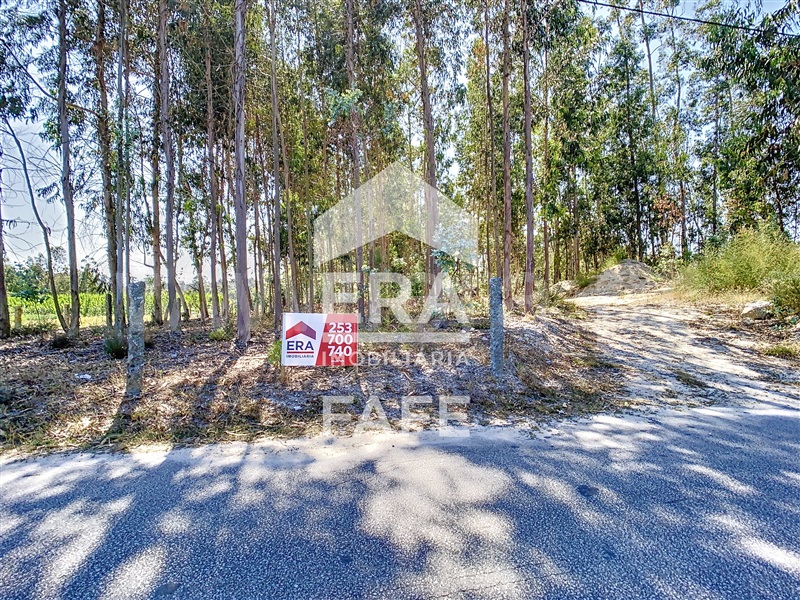 Terreno  Fafe, Ardegão, Arnozela e Seidões - 1344105 - 9