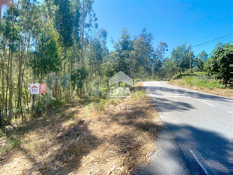 Terreno  Fafe, Ardegão, Arnozela e Seidões - 1496775 - 2