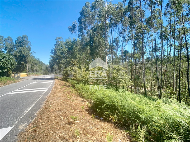 Terreno  Fafe, Ardegão, Arnozela e Seidões - 1496775 - 3