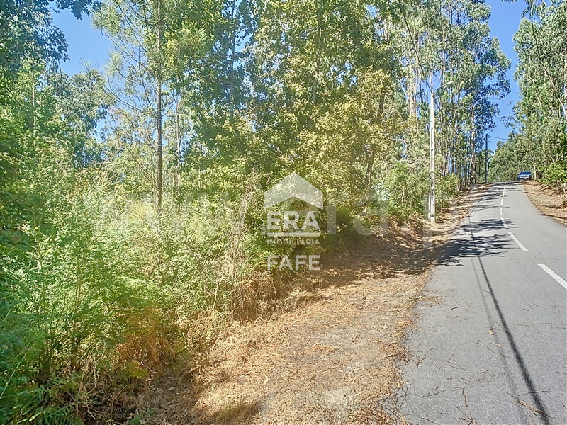Terreno  Fafe, Ardegão, Arnozela e Seidões - 1496775 - 4