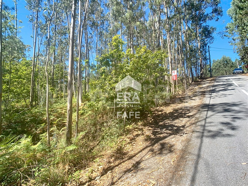 Terreno  Fafe, Ardegão, Arnozela e Seidões - 1496775 - 5