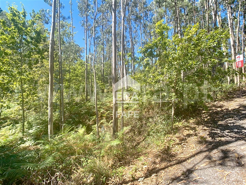 Terreno  Fafe, Ardegão, Arnozela e Seidões - 1496775 - 6