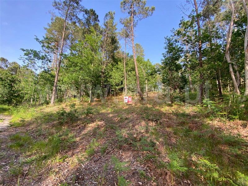 Terreno / Fafe, Ardegão, Arnozela e Seidões