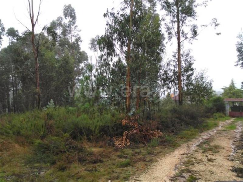Terreno  Fafe, Ardegão, Arnozela e Seidões - 602272 - 2