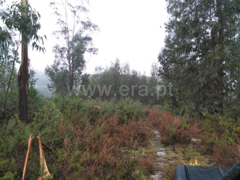 Terreno  Fafe, Ardegão, Arnozela e Seidões - 602272 - 3