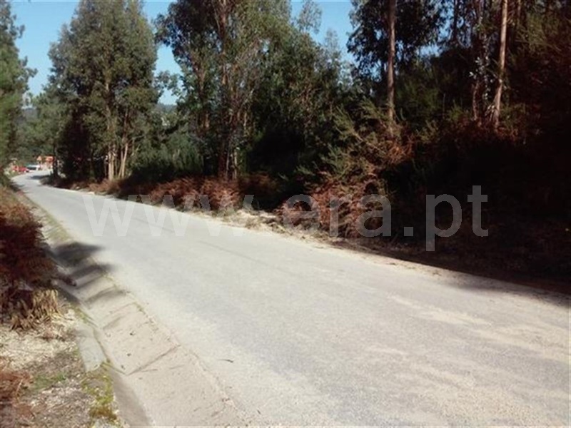 Terreno / Fafe, Ardegão, Arnozela e Seidões