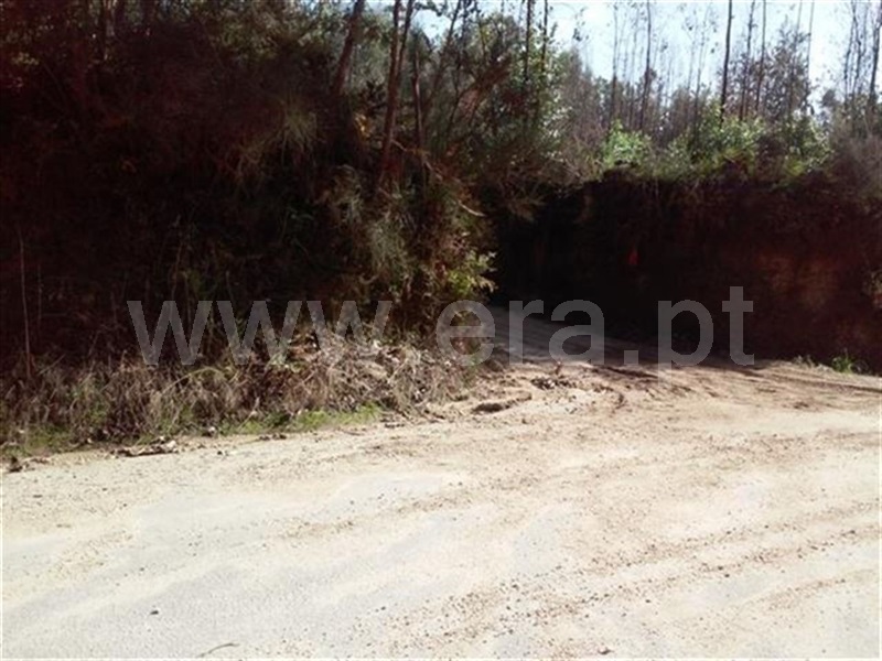 Terreno  Fafe, Ardegão, Arnozela e Seidões - 963718 - 3