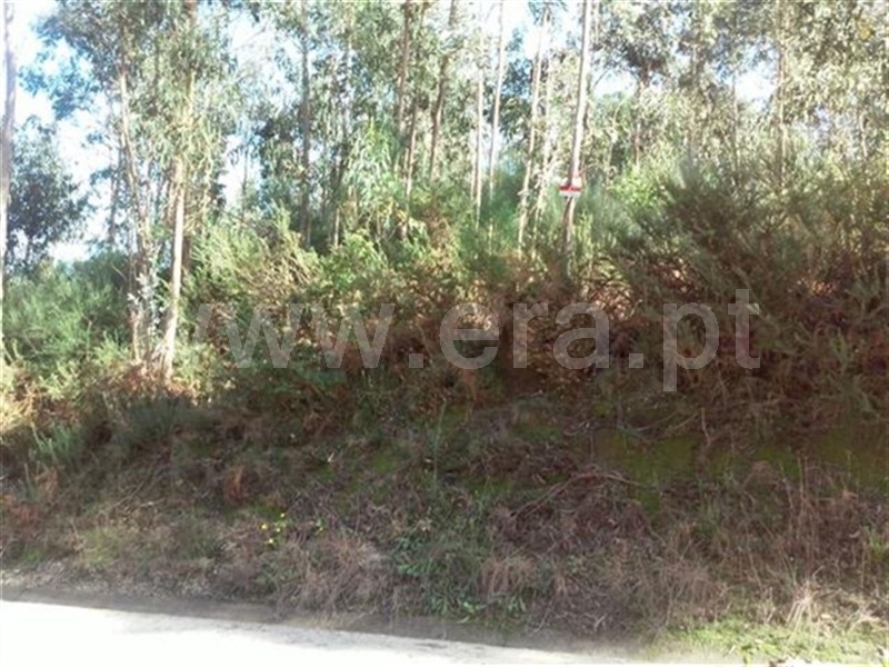 Terreno  Fafe, Ardegão, Arnozela e Seidões - 963718 - 2